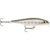 BX Minnow 07