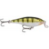 Shallow Shad Rap 09