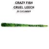 Cruel Leech 5,5cm