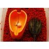 6513 orange shell method kosar tolto