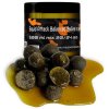 Mastodont Baits Balanced Boilies in dip 500ml mix 20/24mm