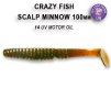 Scalp Minnow 10 cm (Varianta Scalp Minnow 10 cm barva M62)