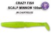 Scalp Minnow 10 cm (Varianta Scalp Minnow 10 cm barva M62)