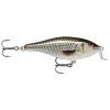 Shallow Shad Rap 07