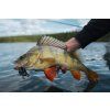 BangerLizard 3,4" 8,6 cm (Varianta BangerLizard 3,4" 8,6 cm Okeechobee Craw)