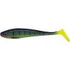 INTENSA DOMINATOR SOFT LURES 12,5cm (Varianta INTENSA DOMINATOR SOFT LURES D 12,5cm)