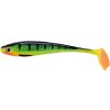 INTENSA DOMINATOR SOFT LURES 12,5cm (Varianta INTENSA DOMINATOR SOFT LURES D 12,5cm)