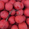 Boilies Hookbait Carp Only Frenetic A.L.T. Jahoda 1 kg (Varianta Frenetic A.L.T. Hookbait Boilies Strawberry 16 mm 1 kg)