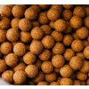 Boilies Hookbait Carp Only Frenetic A.L.T. Monster Crab 1 kg (Varianta Frenetic A.L.T. Hookbait Boilies Monster Crab 16 mm 1 kg)