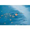10817 7 korum hladinovy splavek surface feeder float 8