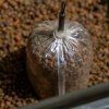 Transfer PVA Solid Bags (Velikost XSmall)