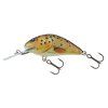 Salmo Hornet 2,5 cm S (Velikost 2,5 cm, Typ BT)