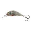 Salmo Hornet 2,5 cm S (Velikost 2,5 cm, Typ BT)