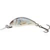 Salmo Hornet 2,5 cm S (Velikost 2,5 cm, Typ BT)