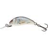 Salmo Hornet 2,5 cm S (Velikost 2,5 cm, Typ BT)