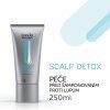 Scalp Detox Pre Shampoo Treatment 150ml 01