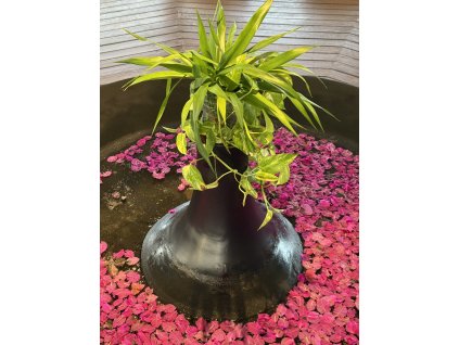 Stres a spánek - strategie pro regeneraci a výkon