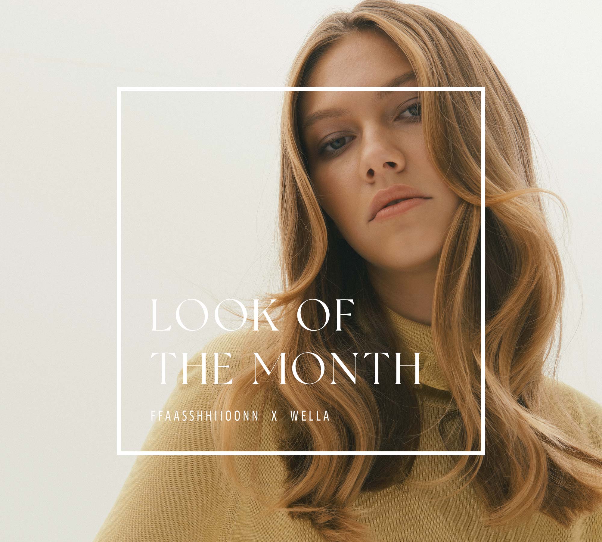 IV. - Objem, co dělá dojem od Sylvie Kluwe