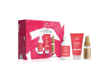 Wella Professionals Color Care Set