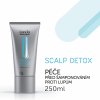 Scalp Detox Pre Shampoo Treatment 150ml 01