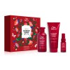 Wella Professionals Ultimate Repair Ritual Set