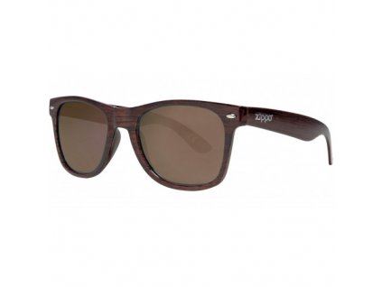 Brown Classic Sunglasses