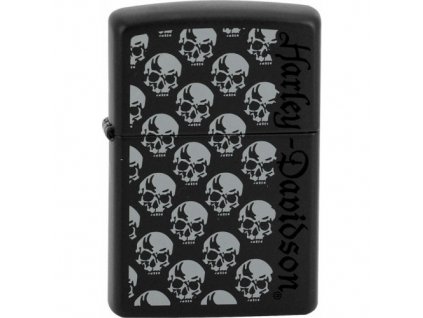 HARLEY DAVIDSON SKULLS 26393