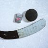 Detroit Red Wings® Zippo 25599