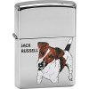 JACK RUSSELL 22536