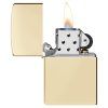 24021 Champagne Zippo 8