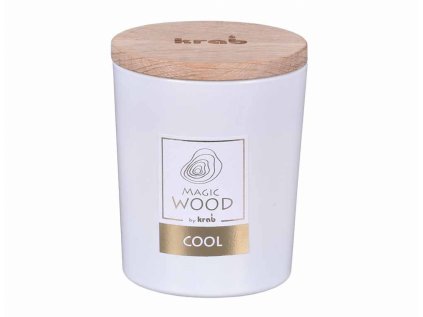 Svíčka ve skle MAGIC WOOD COOL vonná 300g