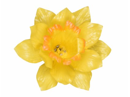 Květ voskový NARCIS 10cm