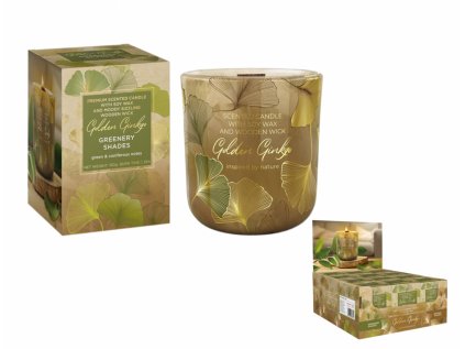 Svíčka ve skle GOLDEN GINKO - GREENERY SHADES 150g