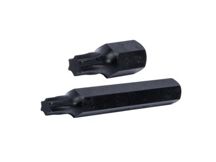 HONITON Bit TRX 10 mm | T25x75 mm
