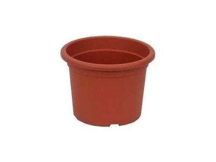 obal d15cm Narcis TER