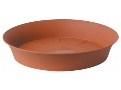 podmiska d22cm TER TULIPÁN