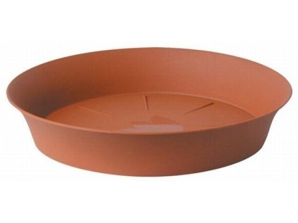 podmiska d60cm TER TULIPÁN