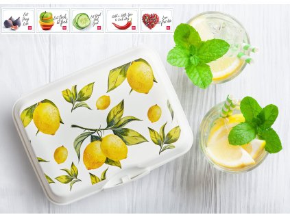 box 1,2l obd., TREND L-OBRÁZEK, 16x12x 6,5cm, svač., plast