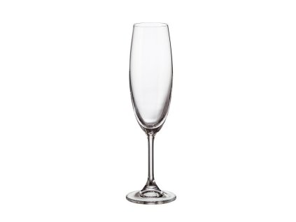 sklen. 220ml, 6ks, KLARA/SYLVIA šamp.flétna