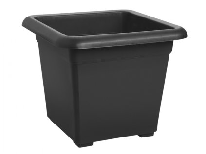 55516an