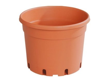 květ. d15cm CLASSIC MCI /dez.+EAN/1,5l TER