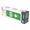 LED Nouzové svítidlo NESSI 3W 3h IP65