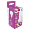 LED žárovka Classic A60 / E27 / 7 W (60 W) / 806 lm / Studená bílá