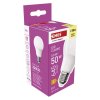 LED žárovka Classic A60 / E27 / 5,8 W (50 W) / 645 lm / teplá bílá