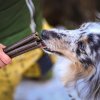 TREATSTICK Dršťkové tyčinky pamlsek pro psy 12 ks