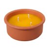 Svíčka proti hmyzu CITRONELLA miska 800g d18x8cm