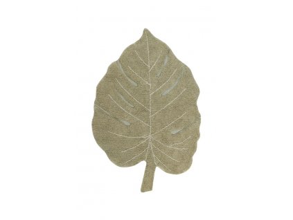 Monstera koberec
