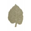 Monstera koberec