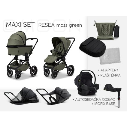 MAXI resea moss 1024x768px