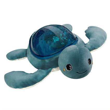 AAQ02R TURTLE